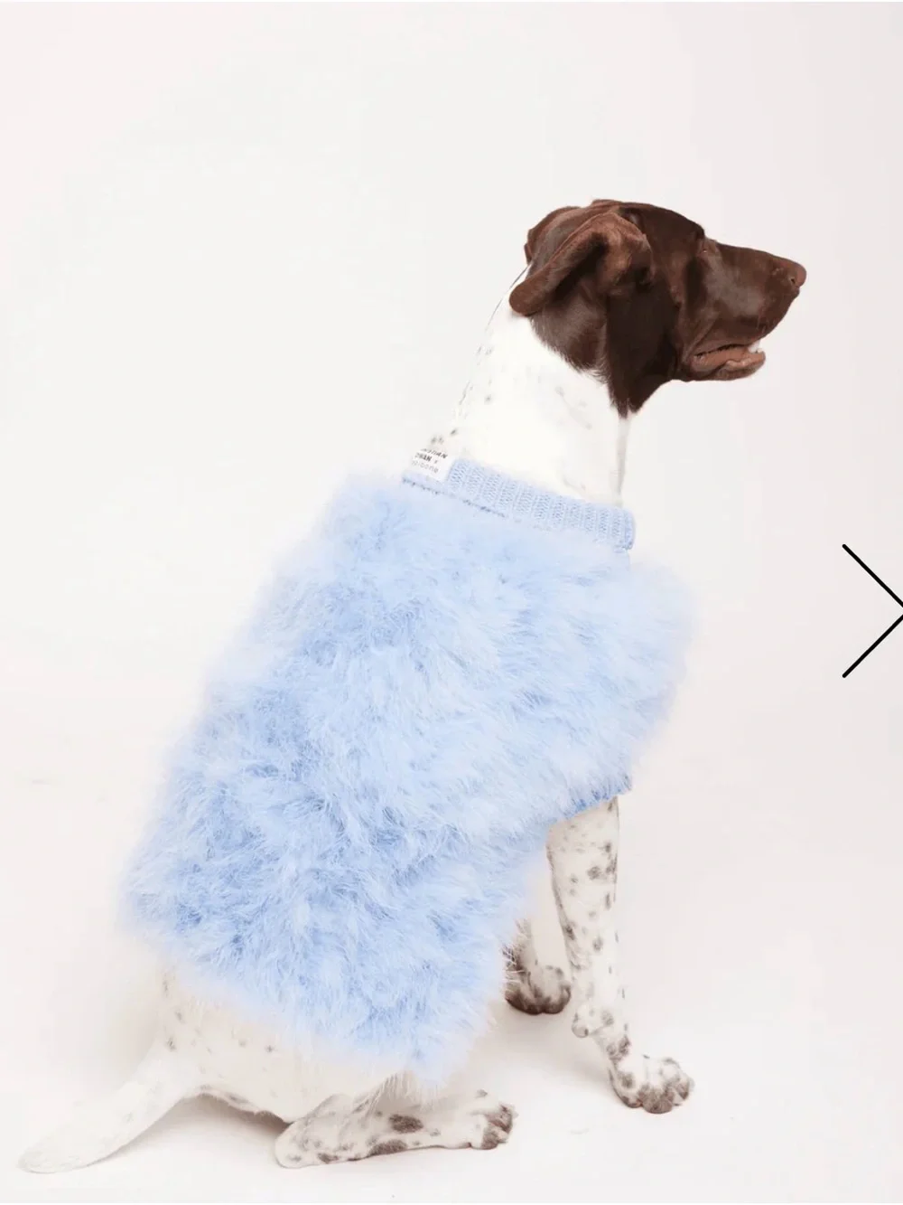 Christian Cowan x maxbone Dog Jumper – Light Blue | Size Large